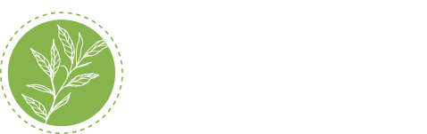 rabbani.spidy.online